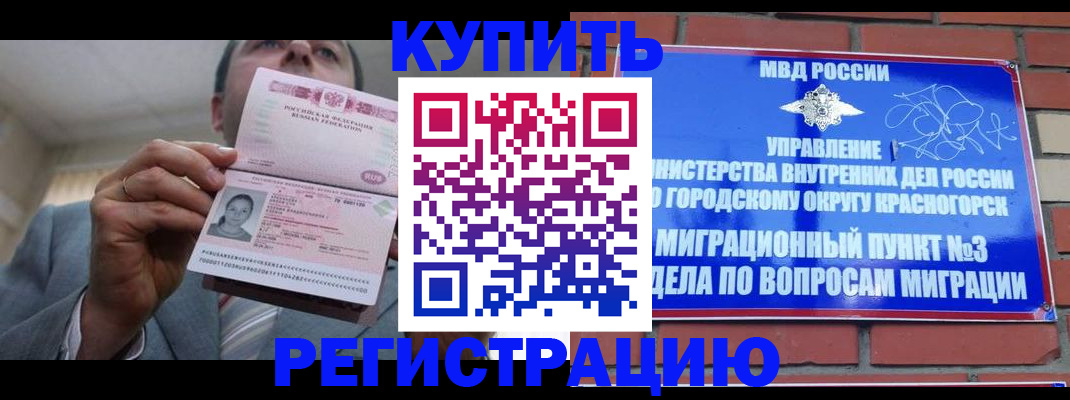 прописка в Камышлове